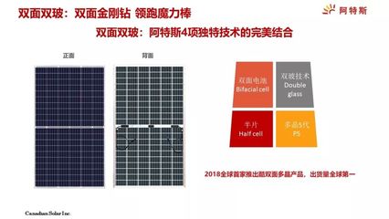 半片与双面双玻 阿特斯许涛博士深度解析太阳能组件技术演进与可靠性